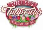 Tulip fields