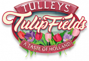 Tulip fields